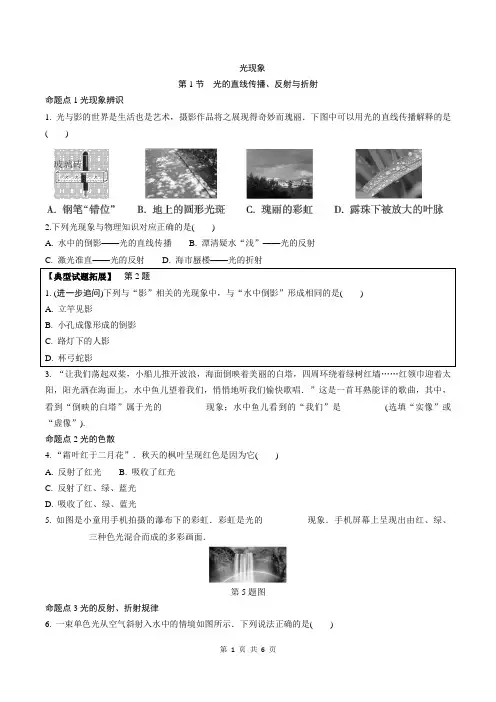 2024年中考 物理专题提升02 光现象(含答案)