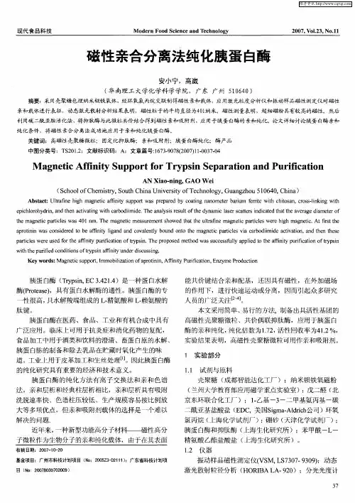 磁性亲合分离法纯化胰蛋白酶