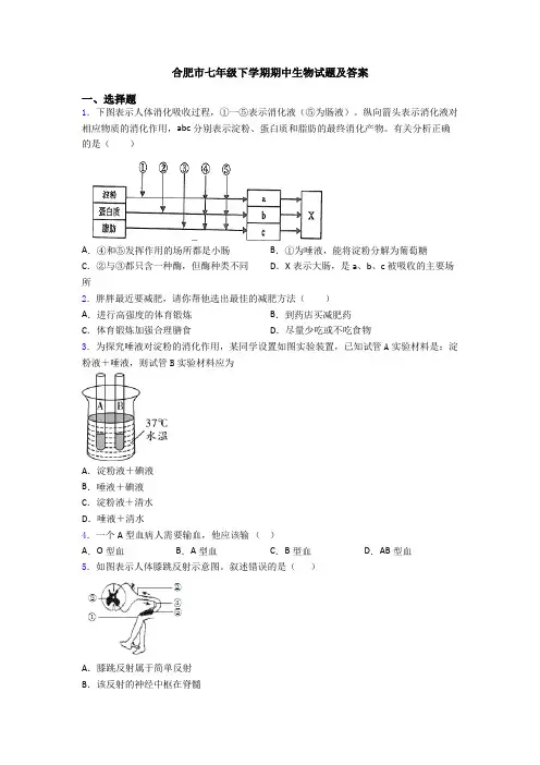 合肥市七年级下学期期中生物试题及答案