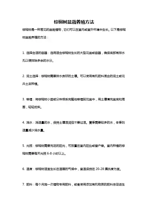 棕榈树盆栽养殖方法
