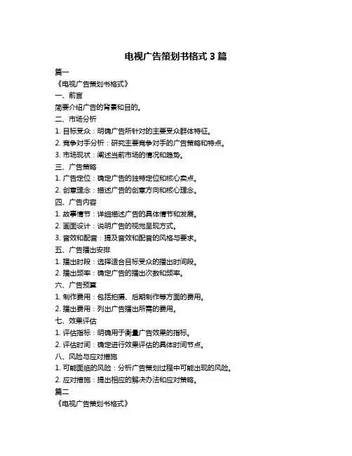 电视广告策划书格式3篇