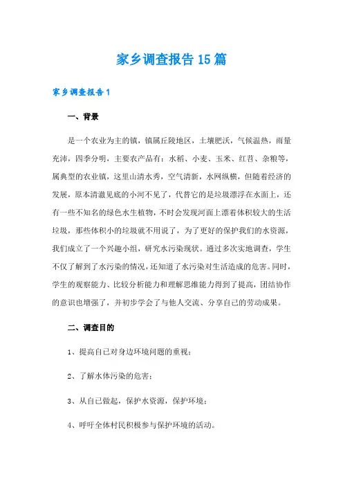 家乡调查报告15篇