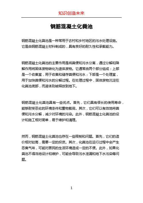 钢筋混凝土化粪池