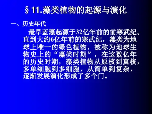 11藻类植物的起源