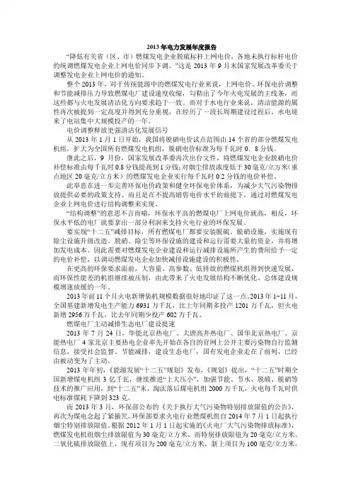 2013年电力发展年度报告
