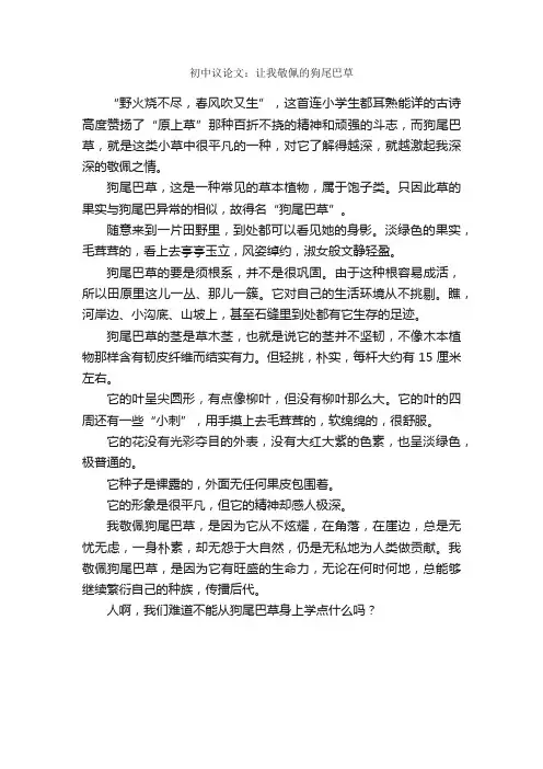 初中议论文：让我敬佩的狗尾巴草_作文500字_励志作文_