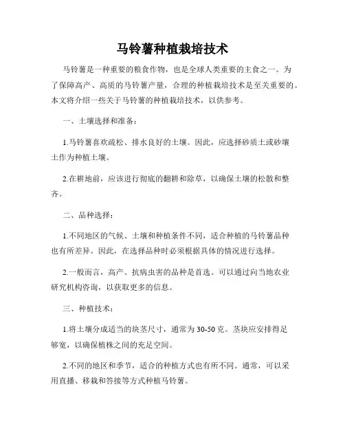 马铃薯种植栽培技术