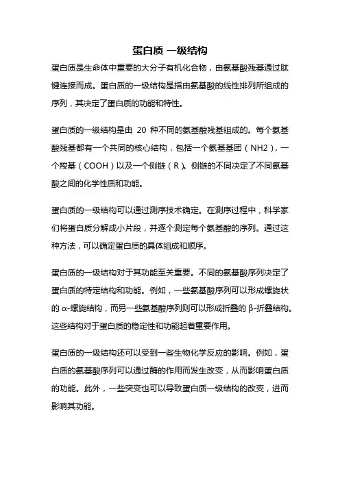 蛋白质 一级结构