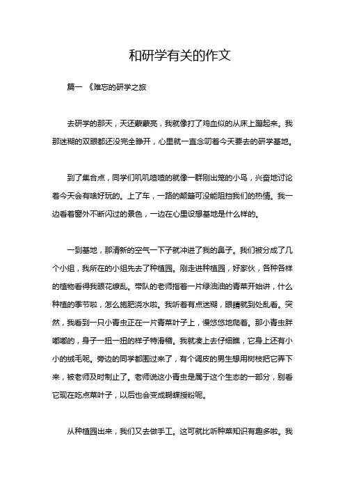 和研学有关的作文