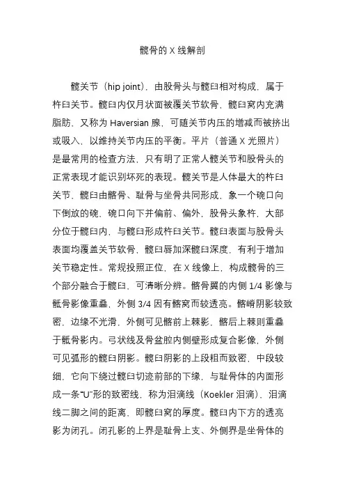 髋骨的X线解剖