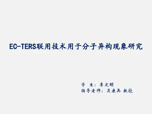 电化学结合针尖增强拉曼光谱