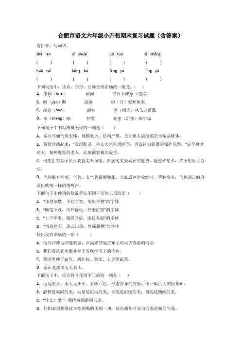 合肥市语文六年级小升初期末复习试题(含答案)