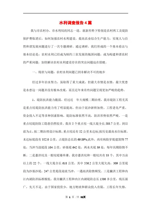水利调查报告4篇范文