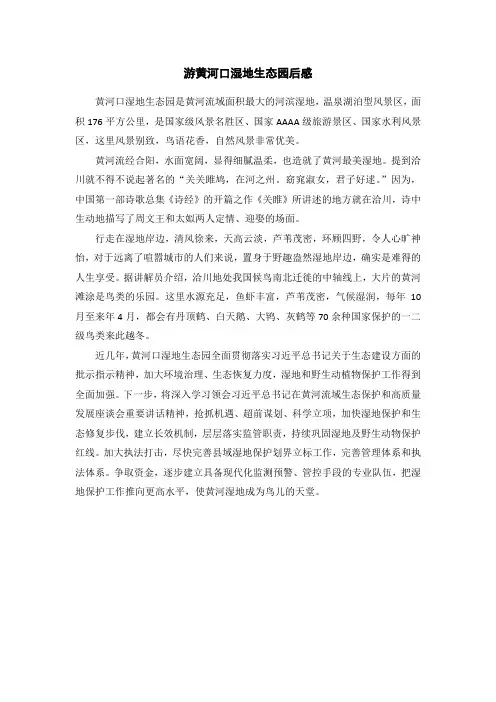 游黄河口湿地生态园后感