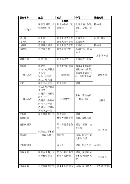 全身主要四肢肌的名称-起止点-作用及神经支配