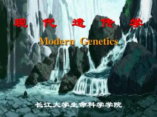 1绪论151优质资料
