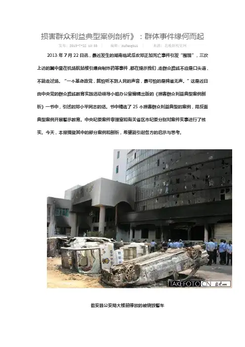 损害群众利益典型案例剖析[1]