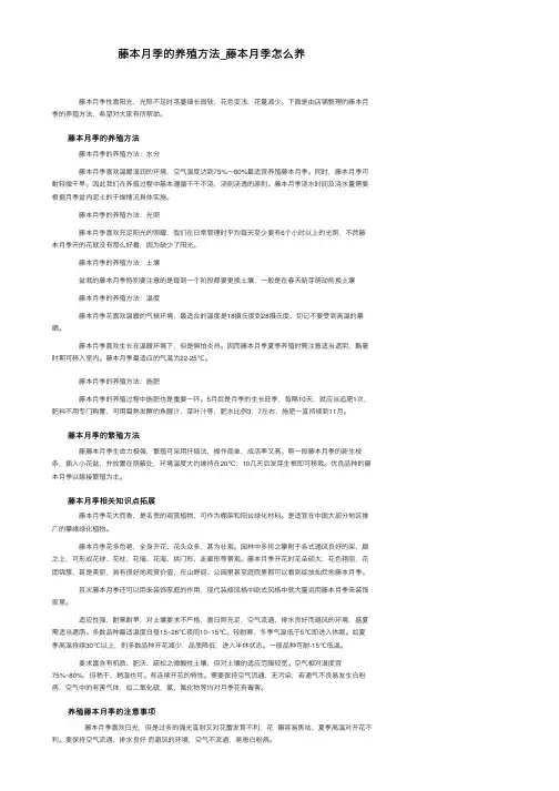 藤本月季的养殖方法_藤本月季怎么养
