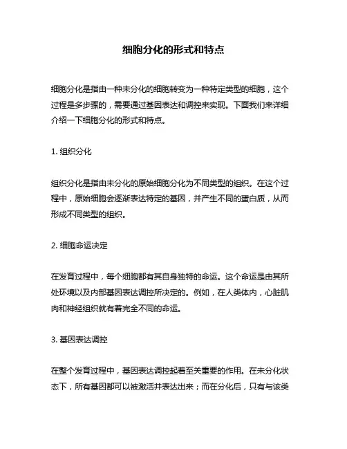 细胞分化的形式和特点