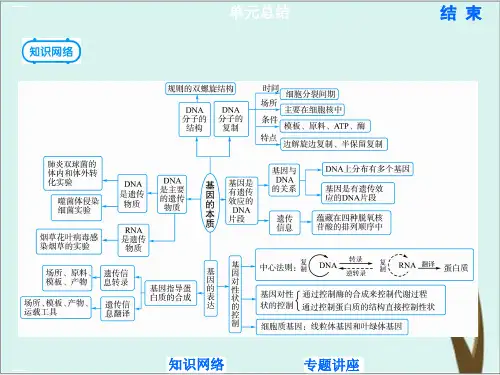 《基因的本质》PPT教学课件人教版高中生物1