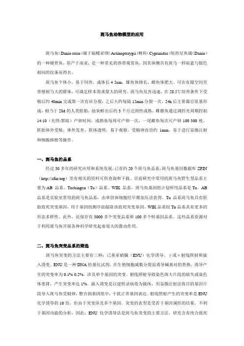 (完整版)斑马鱼动物模型的应用介绍