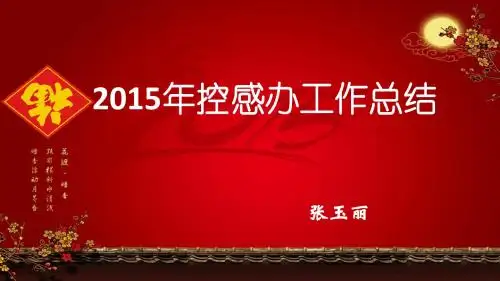 2015年控感办工作总结