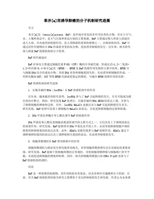 苯并[a]芘诱导肺癌的分子机制研究进展