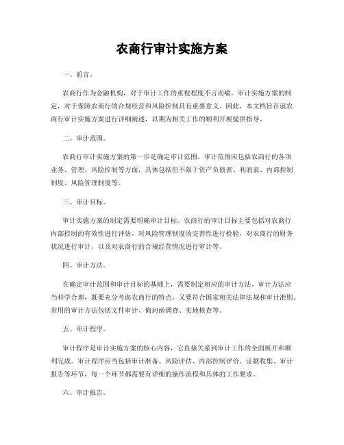 农商行审计实施方案