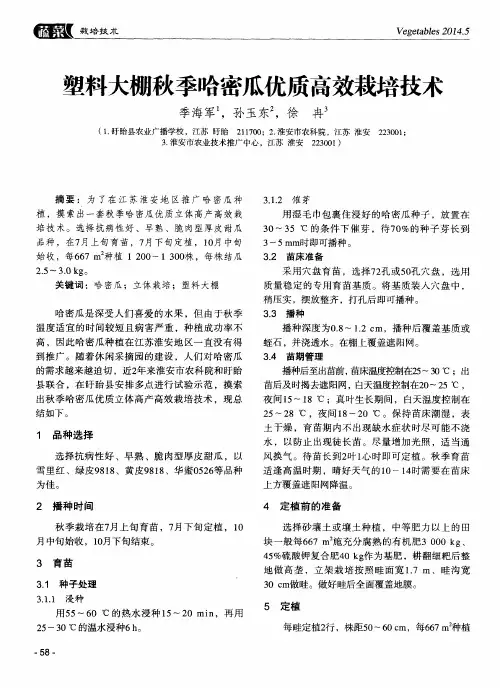 塑料大棚秋季哈密瓜优质高效栽培技术