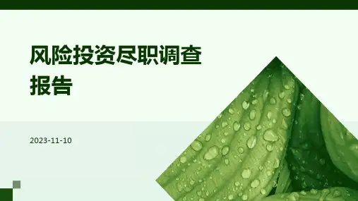 风险投资尽职调查报告