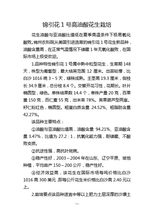 锦引花1号高油酸花生栽培