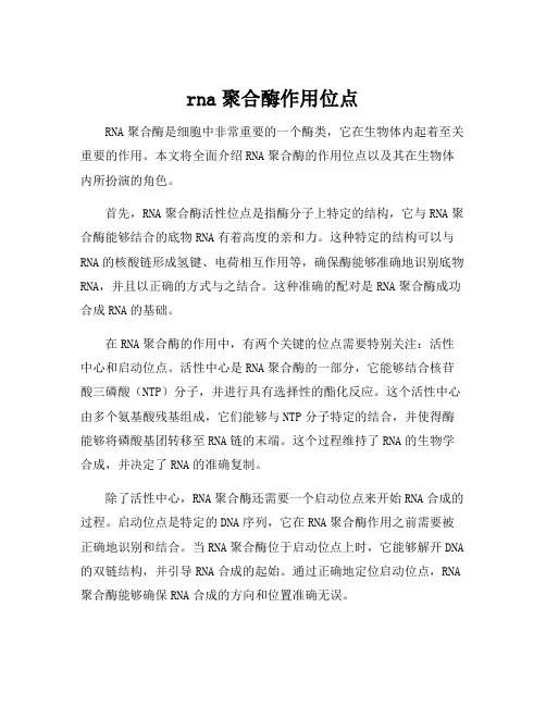 rna聚合酶作用位点