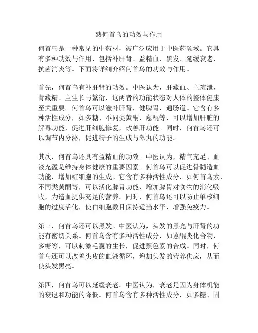 熟何首乌的功效与作用