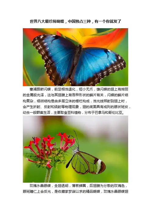 世界八大最珍稀蝴蝶，中国独占三种，有一个你就发了