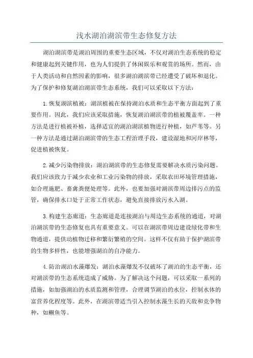 浅水湖泊湖滨带生态修复方法