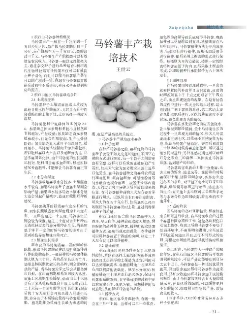 马铃薯丰产栽培技术