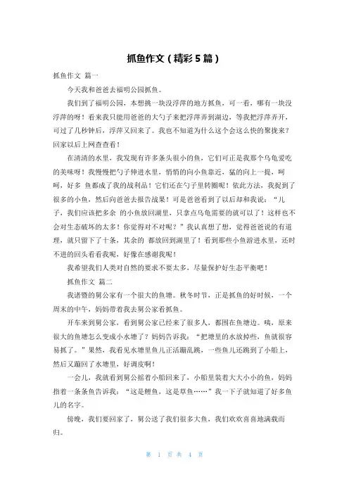 抓鱼作文(精彩5篇)