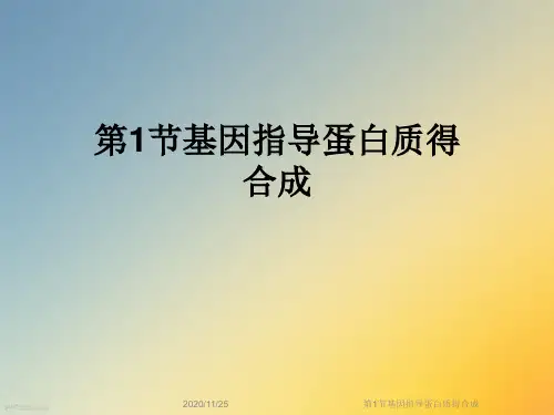 第1节基因指导蛋白质得合成
