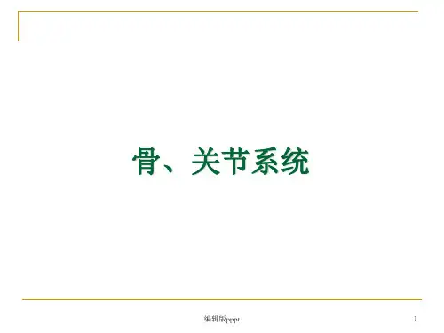 骨骼系统ppt课件