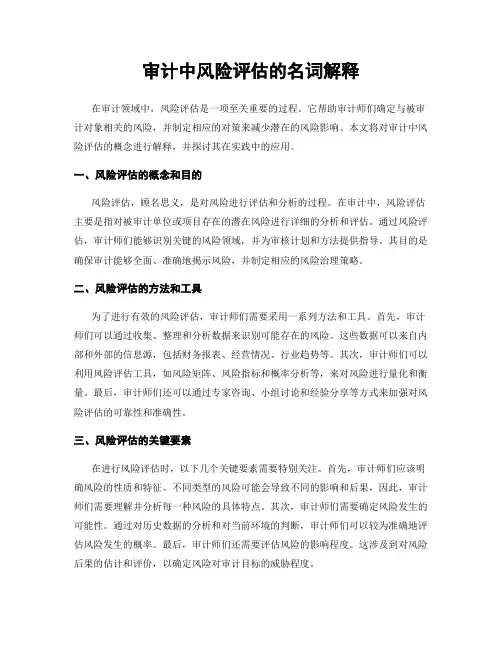 审计中风险评估的名词解释