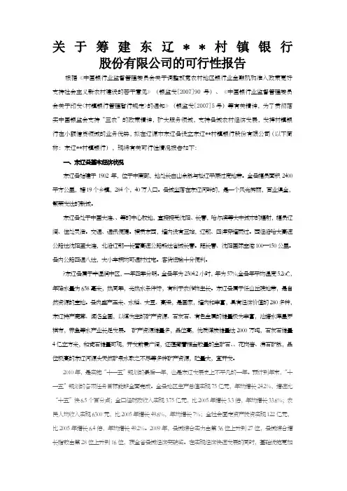 东辽村镇银行可行性报告
