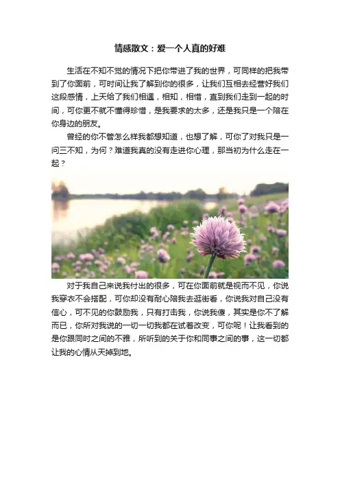 情感散文：爱一个人真的好难