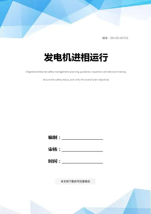 发电机进相运行