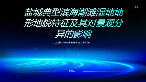 盐城典型滨海潮滩湿地地形地貌特征及其对景观分异的影响