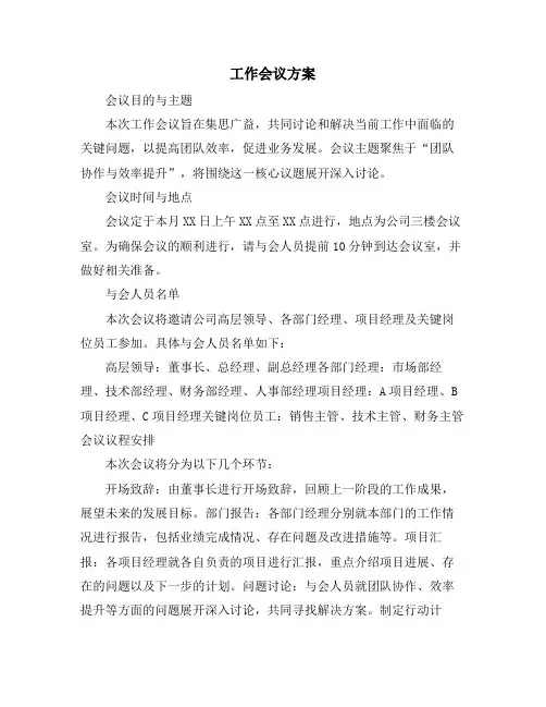 工作会议方案 (2)