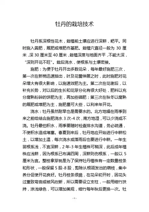 牡丹的栽培技术
