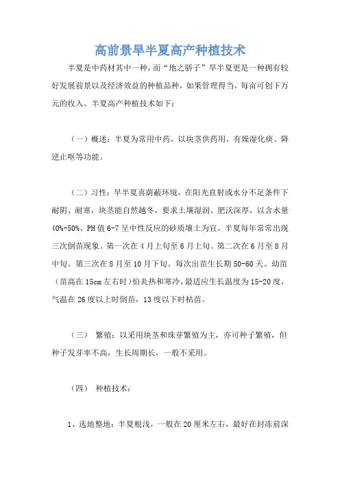 高前景旱半夏高产种植技术