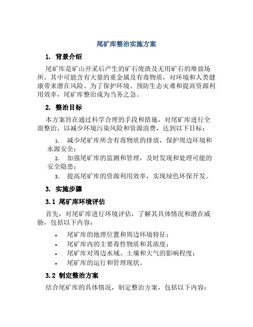 尾矿库整治实施方案