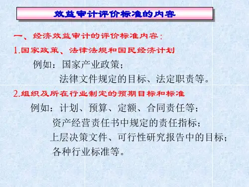 经济效益审计第三讲审计标准feaz