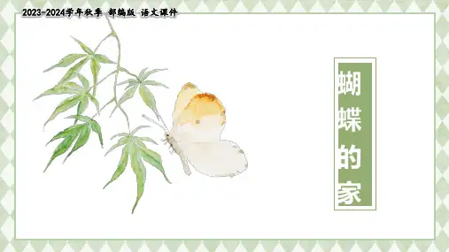 《蝴蝶的家》说课课件(共25张PPT)